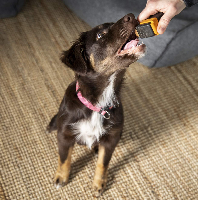 Train'N'Treat Dog Treat Dispenser, Combines a Subtle Clicking Sound with Offering a Treat (Max. diameter 3/4") in a Clean and Safe Way, Easy 1 Hand Operation, Slices Small Hot Dogs etc. into Treats - BeesActive Australia