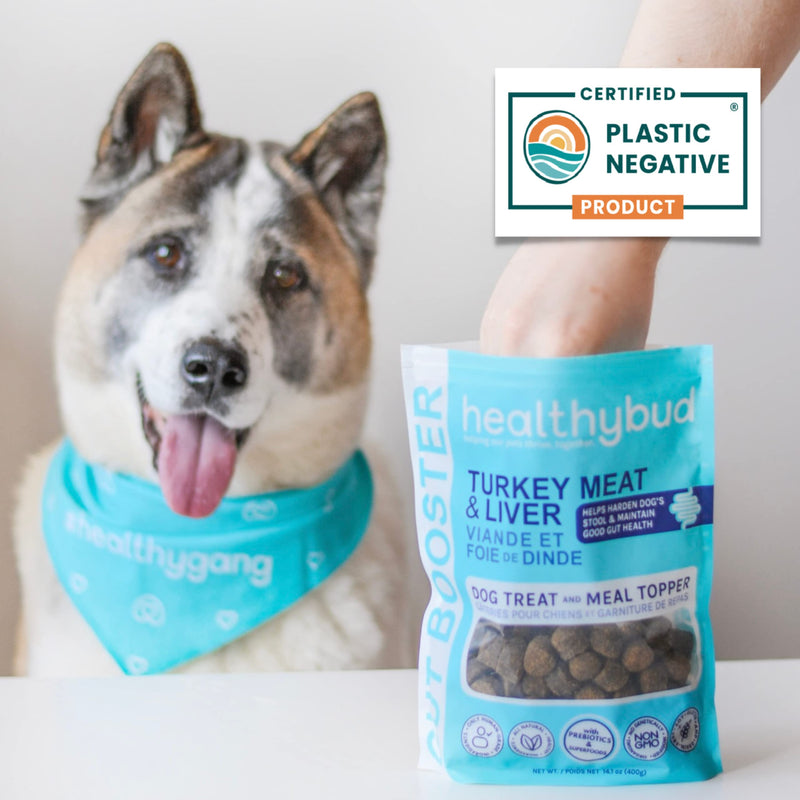 healthybud Turkey Healthy Gut Dog Treats & Food Topper, Sensitive Stomach Dog Treats - Dog Nutritional Supplement & Pet Chews, Probiotics, Prebiotics, Digestive Enzymes, Dog Stool Hardener 4.6 Ounce (Pack of 1) - BeesActive Australia