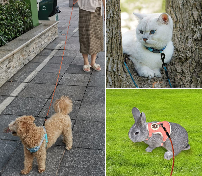 WYuZe 1/5", 1/3" Rope Dog Leash 6 Foot, Lightweight Durable Dog Walking Leash with Rotating Metal Clip, Multi-Color Pet Leash for Small Medium Dogs, Cats, Small Animals Blue 1/5'' x 6 FT - BeesActive Australia