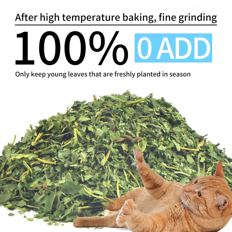 2 Pack Bottled Catnip Powder, Cat Edible Toys, Chewable Cat Toys, Clean Teeth Cat Treats Toys.Catnip Toy 2 pieces Cat toy - BeesActive Australia