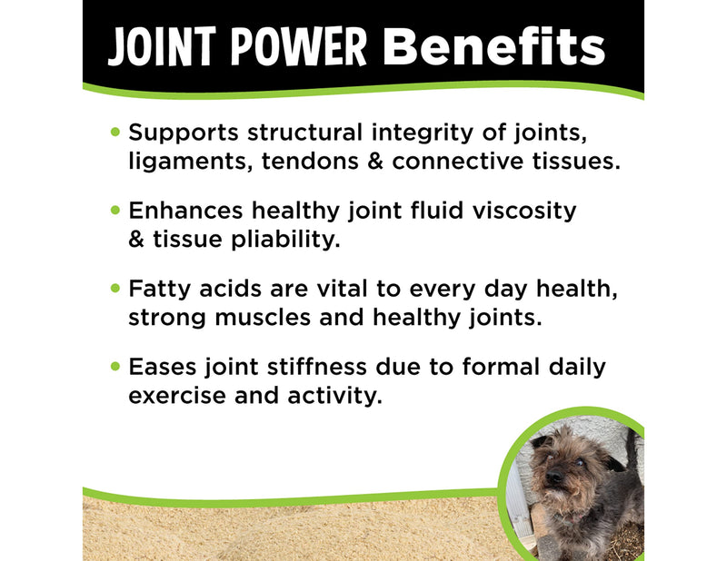 Super Snouts Joint Power 100% Green Lipped Mussels for Dogs & Cats - Dog Joint Supplement Powder Supports Joints, Tendons, Ligaments 5.29 oz (Pack of 1) - BeesActive Australia
