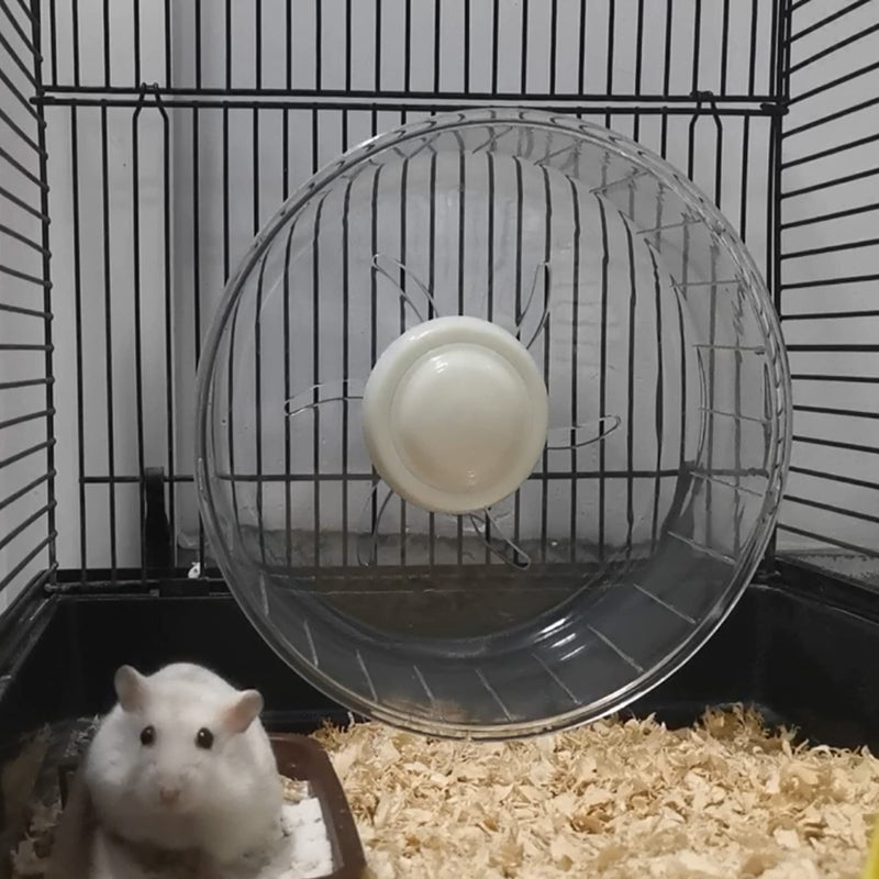 WHFPS Silent Hamster Exercise Wheel - Hamster Toy Accessories Running Spinner Quiet Hamster Runner for Small Animal Pet Gerbil Dwarf Syrian Hamster Hedgehog Rat Mouse Mice etc. 7.9 Inch - BeesActive Australia