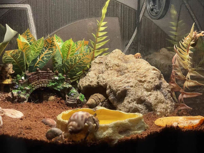 Reptile Hides Large Rock Reptile Cave Hideout Terrarium Habitat Decor Ornament Shelter for Snake Geckos Lizards Bearded Dragon Turtle Frogs Amphibians - BeesActive Australia