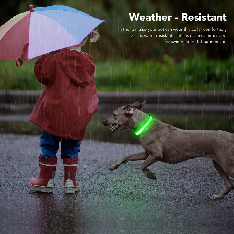 PZRLit LED Light Up Dog Collars Micro USB Rechargeable Waterproof, Full Adjustable & Bright Lighted Glow Dark Dog Collar Light for Night Walking for Large Medium Small Dogs Green - BeesActive Australia