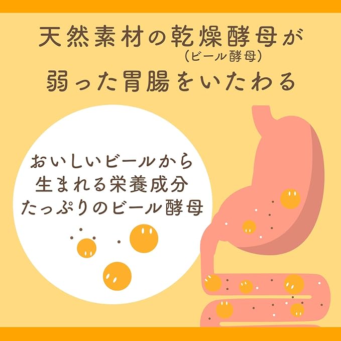 EBIOS 1,200 Tablets (Designated Quasi-drug) Natural Beer Yeast Gastric Intestinal and Nutritional Supply - BeesActive Australia