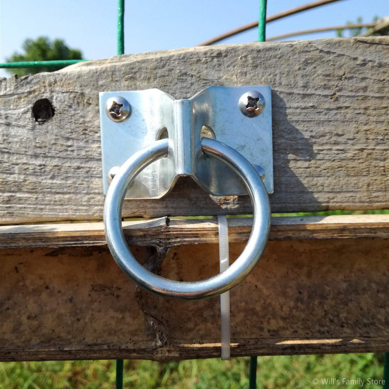 Will's Family Store 2 inch Wall Mount Horse Tie Ring Through Plate Zinc Plated 2 pieces - BeesActive Australia