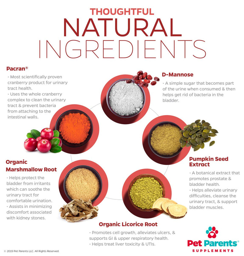 Pet Parents® USA Cranberry Supplement for Dogs - Kidney, Bladder & Urinary Tract (UT) Support Chews - Dog UTI & Incontinence Treatment w/ Pacran®, D-Mannose & Pumpkin Seed 4g 90 Count - BeesActive Australia