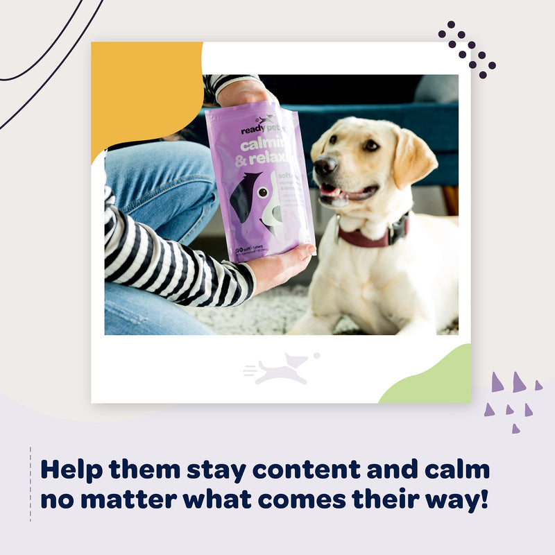 Calming & Relaxing Chews by Ready Pet Go! | Anti Anxiety Dog Treats | Composure Chews for Dogs | Relieves Stress by Separation, Fireworks, Noise, Thunder & Barking | 90 Chews - BeesActive Australia