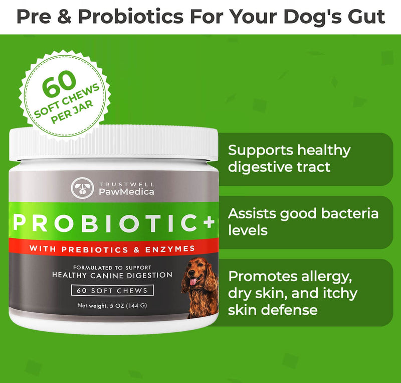 PawMedica Dog Probiotics and Digestive Enzymes, Probiotics for Dogs Made in USA, Pet Probiotic Chews for Dogs, Prebiotics & Probiotic Dog Digestive Support, Probiotic Treats 60 Dog Probiotic Chews - BeesActive Australia