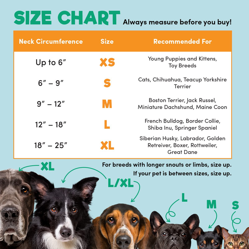 BENCMATE Protective Inflatable Collar for Dogs and Cats - Soft Pet Recovery Collar Does Not Block Vision E-Collar [Neck:12"-18"] Large Blue - BeesActive Australia