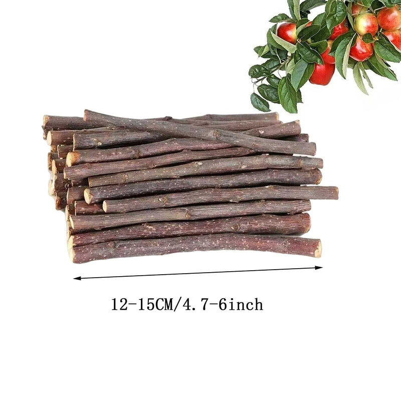 Natural Apple Sticks Small Animals Molar Wood Treats Toys Chinchilla Guinea Pig Hamster Rabbit Gerbil Parrot Bunny and Small Animals Chew Stick Toys Treats Apple Sticks 10oz - BeesActive Australia