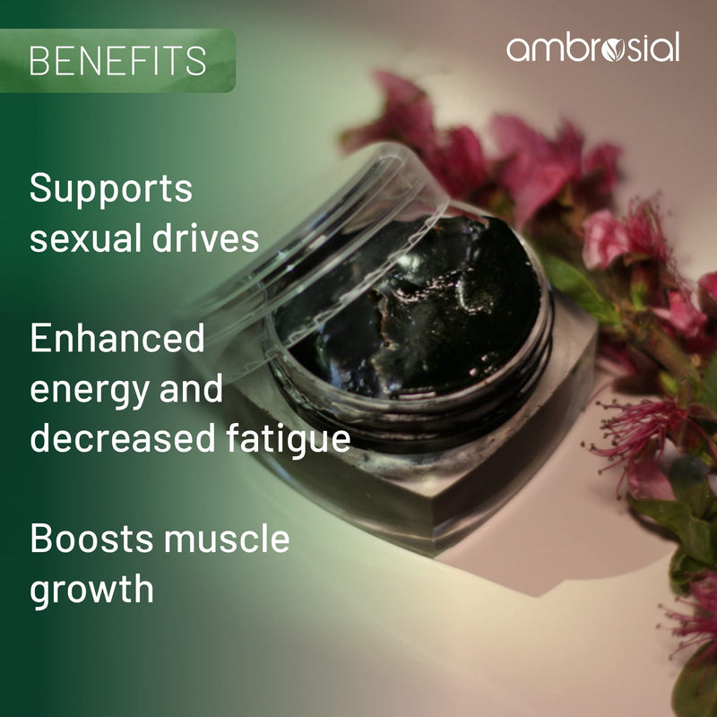 Ambrosial Testoboost Ultra Premium Herbal Testosterone Booster for Men | Blend of 3 Natural Herbs Testosterone Supplements for Men | Support Muscle Growth & Energy Boost (Pack of 1-60 Capsules) Pack of 1- 60 Capsules - BeesActive Australia
