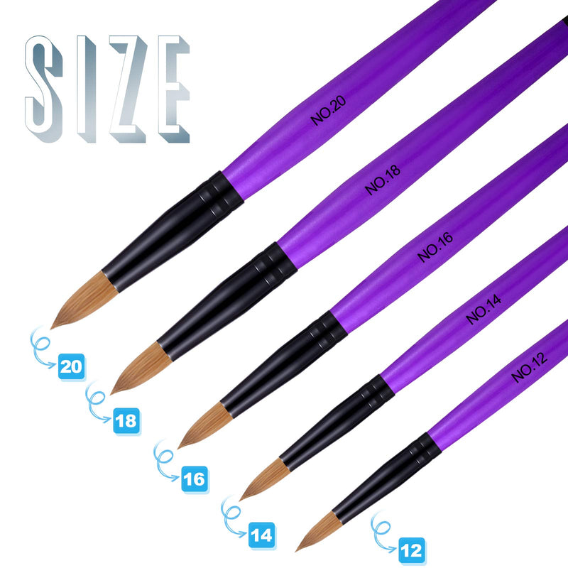 5 Pieces Acrylic Nail Brush with Round Wood Handle 3D Painting Drawing Brush UV Gel Carving Pen Brush for Acrylic Liquid Styling Nail Art Decoration (12-20, Purple) 12-20 - BeesActive Australia