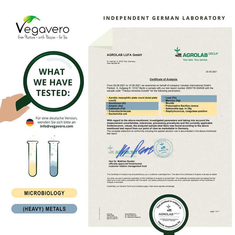 Tribulus Terrestris High Strength Vegavero® | Strongest 1800mg Tribulus Extract, 1620mg Saponins | NO Additives, Lab-Tested | Stamina & Strength Support for Men & Women | 120 Capsules | Vegan - BeesActive Australia