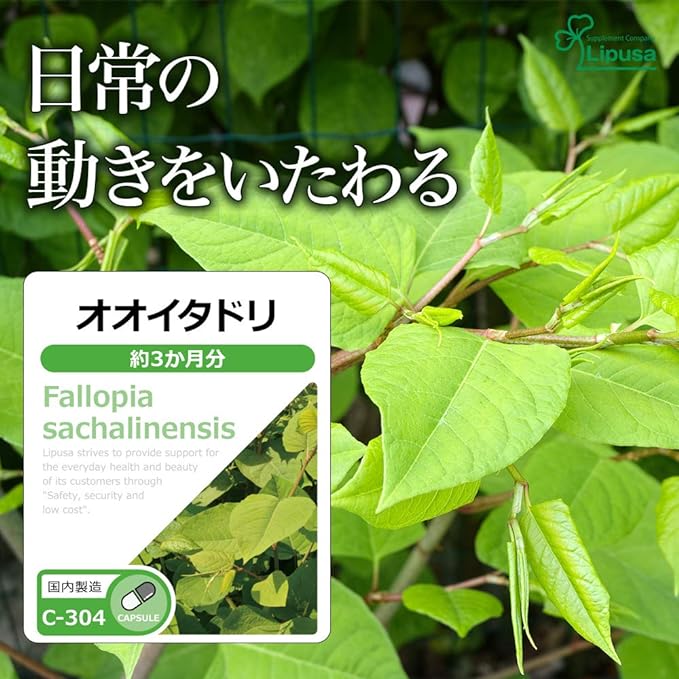 [Lipsa Official] Oitadori Approximately 3 months supply C-304 Supplement - BeesActive Australia