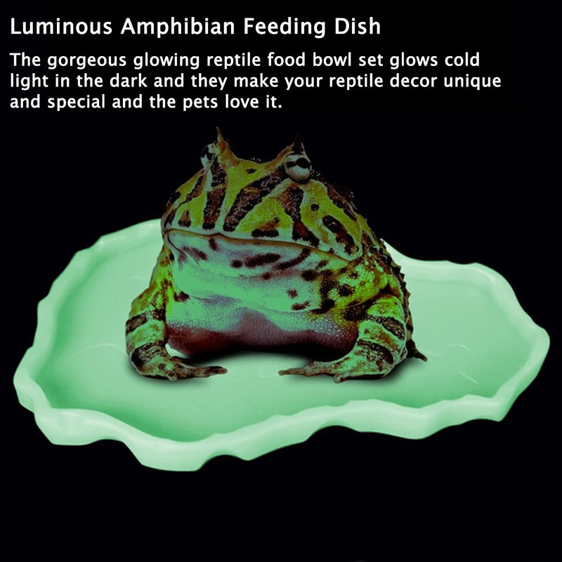 Tfwadmx Reptile Food and Water Bowl Set Luminous Bearded Dragon Dishes Tortoise Feeder Lizard Habitat Large and Small Amphibian Feeding Plates Terrarium DéCor for Turtle Gecko Snake Tegu Iguana 2 Pcs White - BeesActive Australia