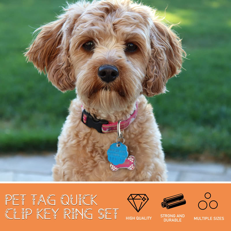 18 Pieces Leash Dog Tag Clip Pet ID Tag Pet Tag Clip Quick Clip Combos Durable Dog ID Tag with Rings, Stainless Steel Quick Clips Pet ID Tag Holder for Dog Cat (Silver, 1.9 Inch，1.3 Inch，0.8 Inch) - BeesActive Australia