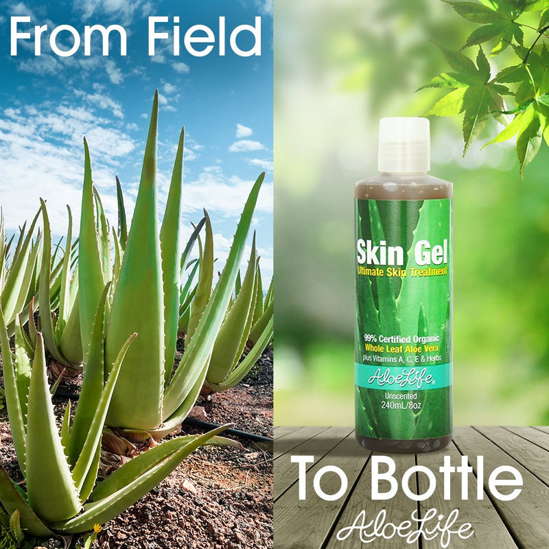 Aloe Life - Skin Gel and Herbs, 99 % Certified Organic, Whole Leaf Aloe Vera Plus Vitamin A, C, E and Herbs, Whole Leaf Aloe Vera is Concentrated to Give the Best Results (Unscented, 8 Ounces) 8 Ounce (Pack of 1) - BeesActive Australia