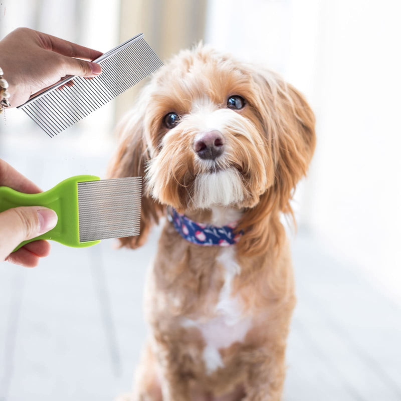 Tear Stain Remover Combs for Pets Grooming Kits Remove Flea Durable Steel Sets Eye Brush Tools for Dogs Cats Puppies Stainless Lice Removing Kit Pet Cleaning Supplies Teeth Grooming 5 Types - BeesActive Australia