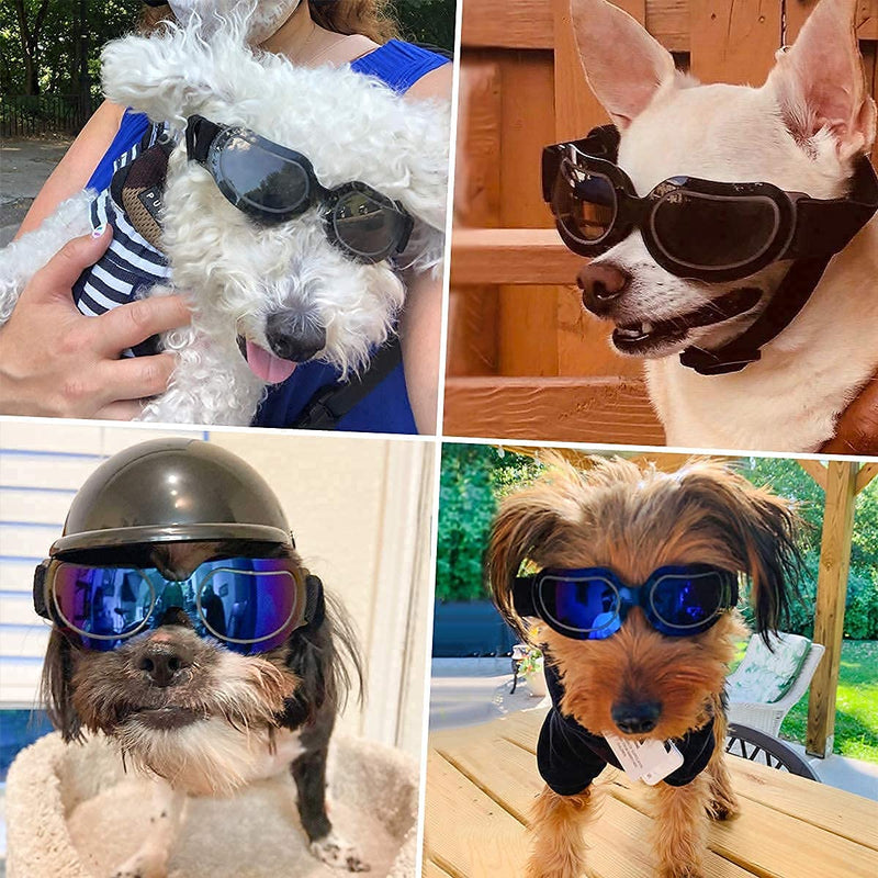 Enjoying Small Dog Goggles Bundle with Tiny Dog Helmet for Puppy - BeesActive Australia