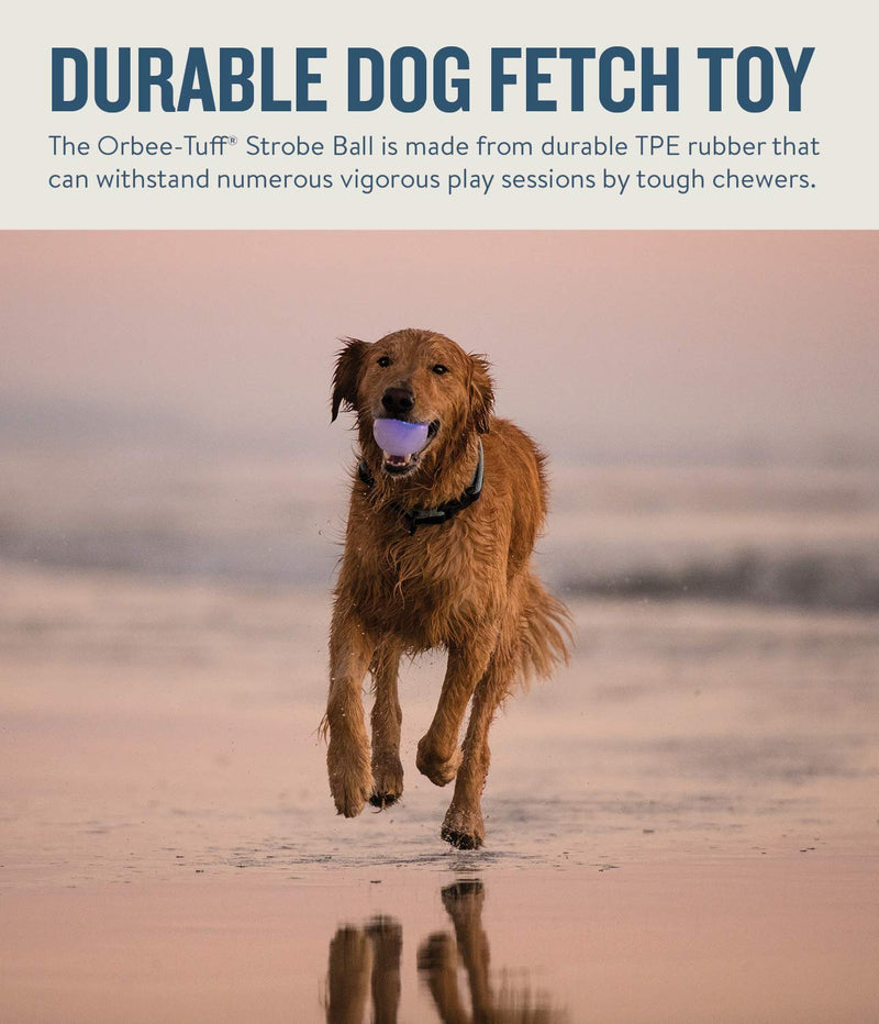 Planet Dog Orbee-Tuff Interactive Ball Dog Toys Strobe (LED Light-up Ball) One-Size Glow in The Dark - BeesActive Australia