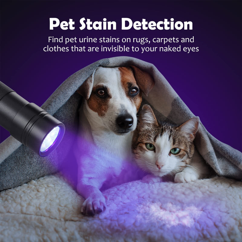 UV Flashlight Black Light, Handheld Blacklight Flashlights 12 Led 395nm Mini Light Torch Detector for Dog Pet Urine Stains, Bed Bugs and Scorpions, AAA Batteries Included - BeesActive Australia
