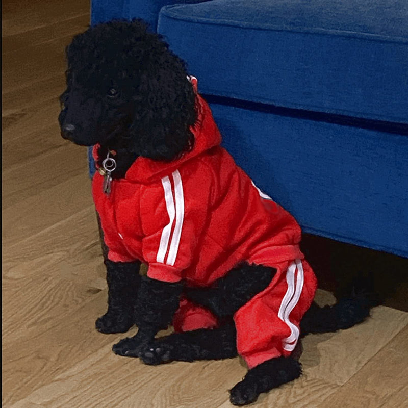 Pet Cat Dog Cute Outfit Clothes Hoodie Jumpsuit Tracksuit Jacket Winter Sweater 4-Legs Style Red for Puppy Small to Medium Dogs Boy and Girl - BeesActive Australia