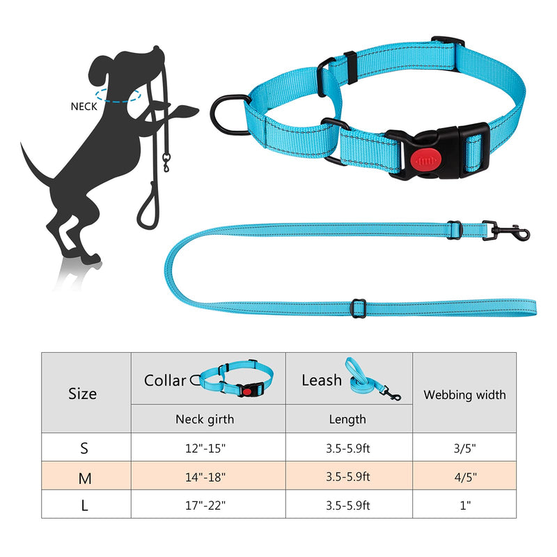 Martingale Dog Collar and Leash Set Martingale Collars for Dogs Reflective Martingale Collar for Small Medium Large Dogs Sky Blue - BeesActive Australia