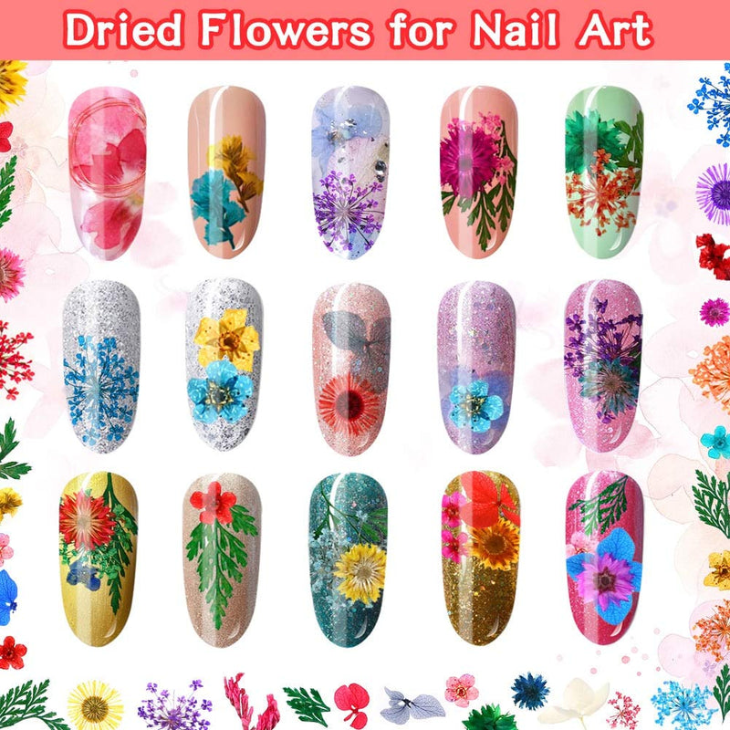 6 Boxes Dried Flowers for Nail Art, Audab 190 Pcs Nail Dried Flowers Mini Resin Flowers for Nail Art Resin Decoration - BeesActive Australia