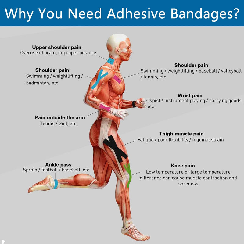 Self Adhesive Wrap Cohesive Wrap Bandages 6 Count 3" x 5 Yards, Medical Tape, Adhesive Flexible Breathable First Aid Non Woven Rolls, Stretch Athletic, Ankle Sprains & Swelling, Sport Beige 6 Count (Pack of 1) - BeesActive Australia