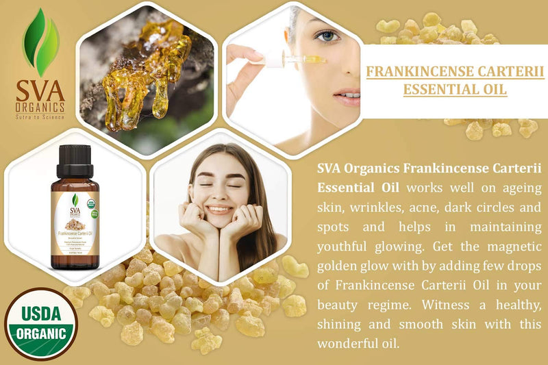 Organic Boswelia Carteri (Frankincense) Essential Oil - 100% Pure, Natural ,Undiluted ,Therapeutic Grade by SVA Organics | Reducing Joint & Arthritis Pain, Strengthen Immune System et (1/3 Oz) 1/3 Ounce - BeesActive Australia