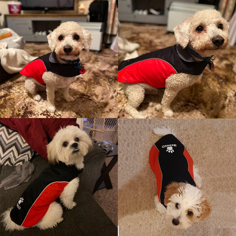 IREENUO Waterproof Dog Jacket, Dog Coat for Fall Winter, Warm Dog Raincoat for Small Medium Dogs - BeesActive Australia