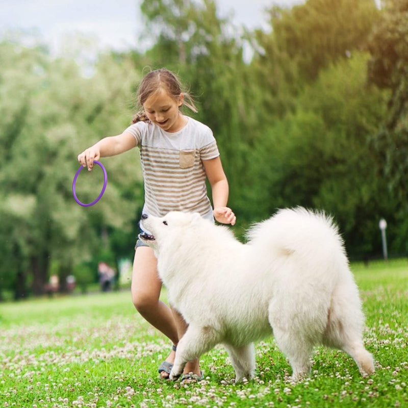 [AUSTRALIA] - HRLORKC Plastic Ring Toss Game Set Rings for Ring Toss for Kids Outdoor Games Plastic Carnival Rings Carnival Games for Carnival Party and Parent-Child Games 32 pcs 