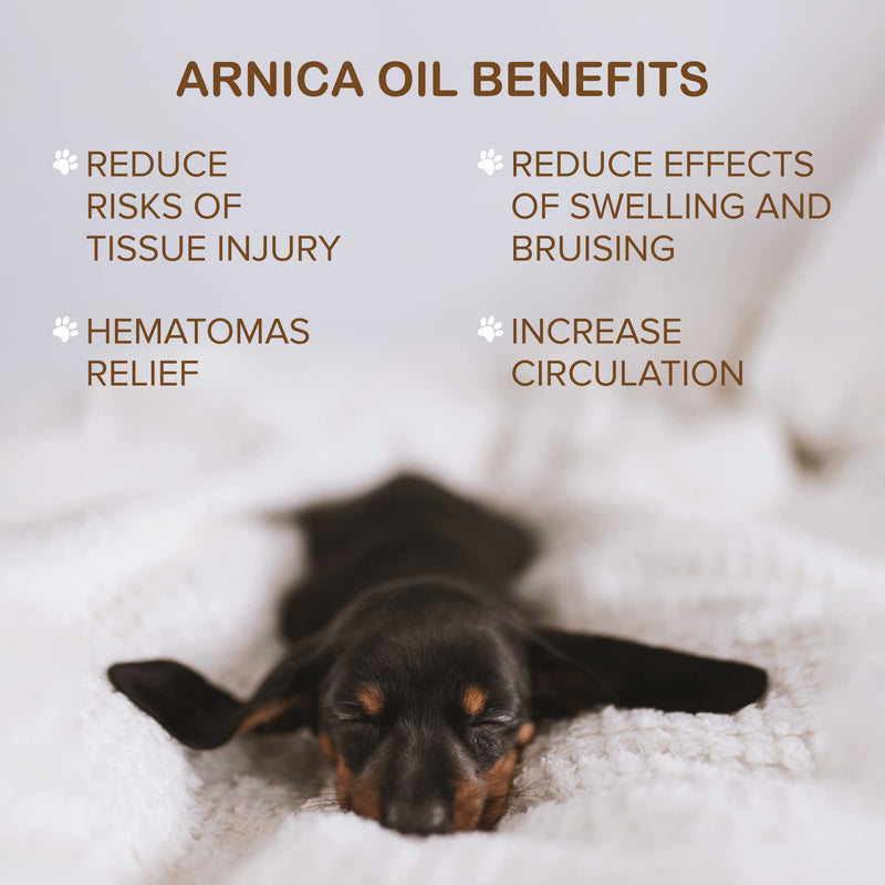 Kelebs Natural Dog Massage Oil Skin Soother Relief, With Arnica & Peppermint Oil, Hips & Joints Muscle Soother Pain Relief, Itchy Skin Soother Relief, Dog Massage Oil Dry Skin Soother, For Body & Paws - BeesActive Australia