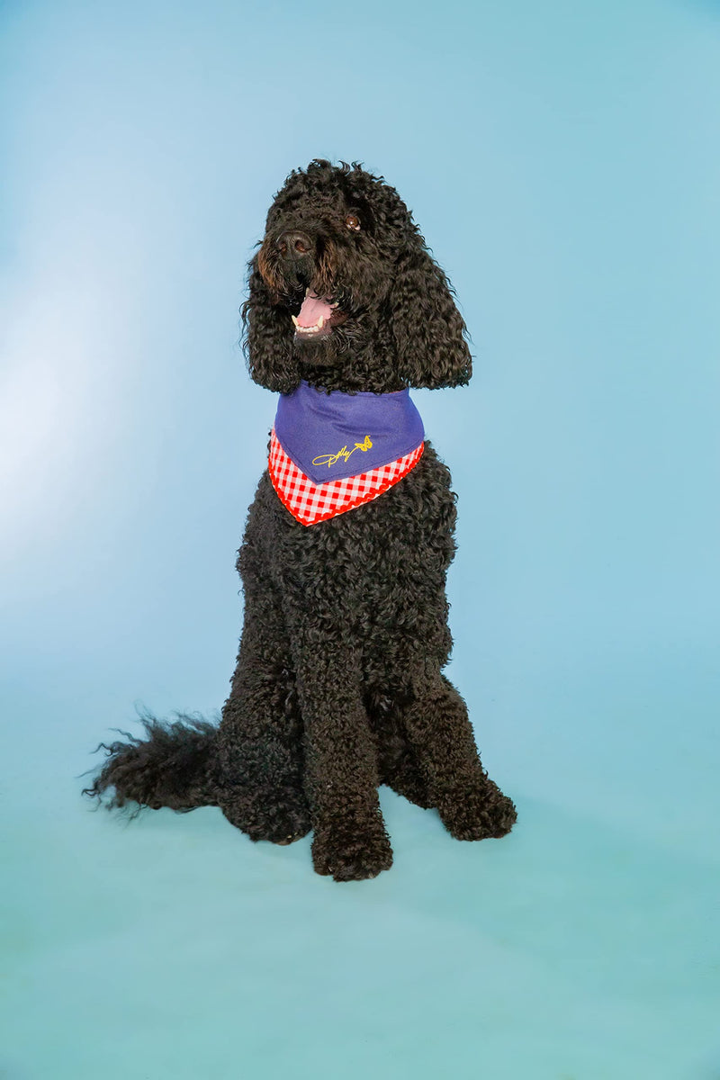 Doggy Parton Blue Printed Denim & Gingham Print Bandana for Pets X-Small / Small - BeesActive Australia