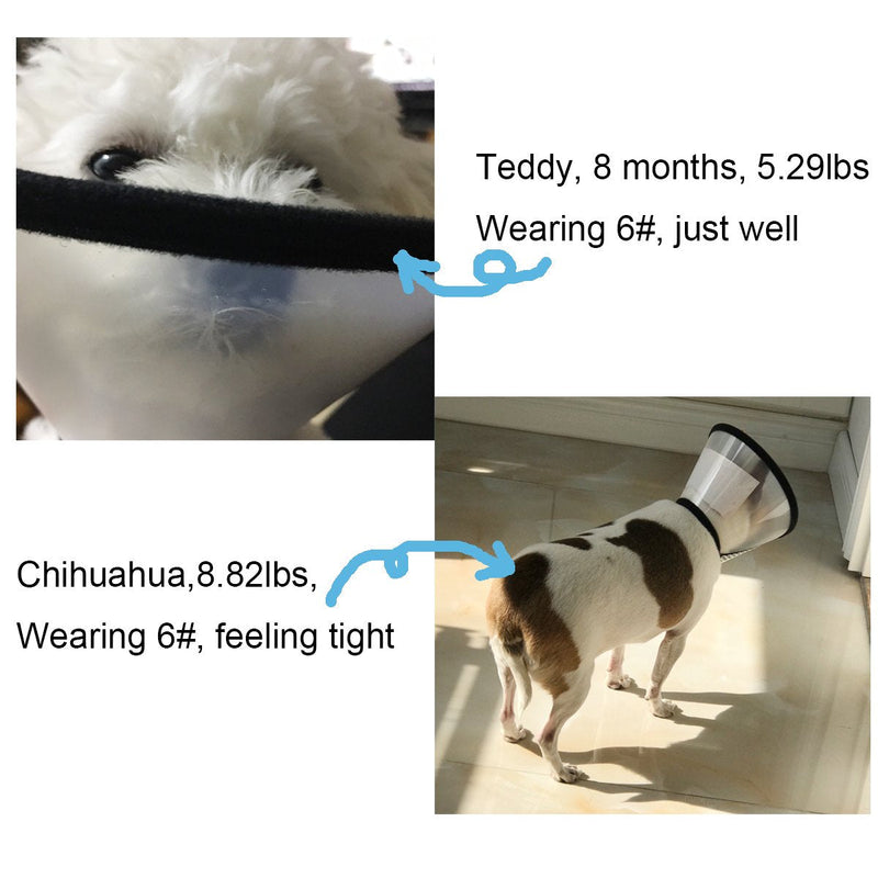 Depets Adjustable Recovery Pet Cone E-Collar for Cats Puppy Rabbit, Plastic Elizabeth Protective Collar Wound Healing Practical Neck Cover S: 7.0-8.2 IN - BeesActive Australia