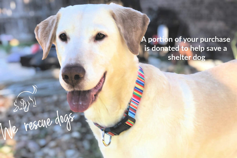 Lucky Love Dog Collar Combo Set | Matching Collar & Leash | Convenient & Reliable Small to Large Hippie Collar - BeesActive Australia
