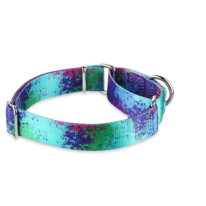 Dazzber Martingale Dog Collars Colourful Oil Painting Pattern Series - No Pull Pet Collar Silky Soft for Medium and Large Dogs Large, 1 Inch Wide Ecology Oasis - BeesActive Australia