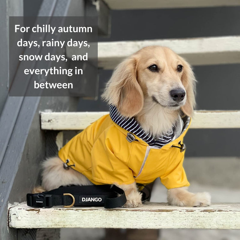 DJANGO Highland Dog Jacket and Raincoat - Water-Repellent, Windproof, and Harness-Friendly Winter Dog Coat and Stylish Dog Raincoat with Adjustable Drawstrings, Optional Hood, Premium Gunmetal Hardware, and Back Pocket Medium Dandelion Yellow - BeesActive Australia
