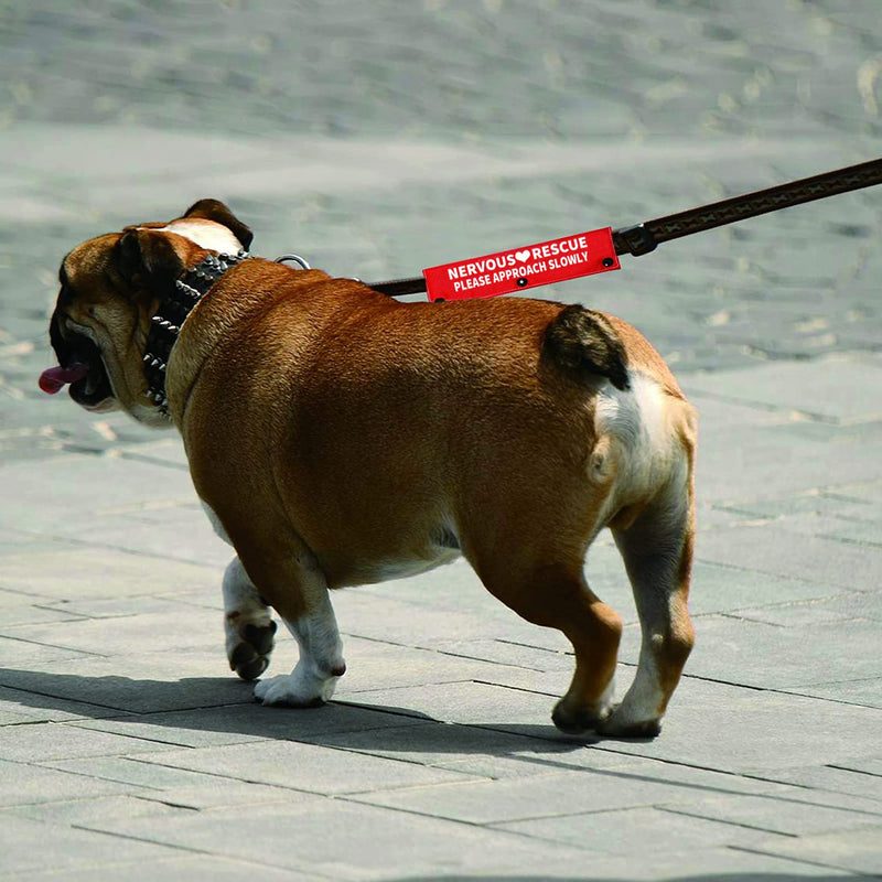 Funny Dog Leash Sleeve Nervous Rescue Please Approach Slowly Dog Leash Wrap Wrap Alert Hanging Id Patch Tag Approach Slowly-Sleeve - BeesActive Australia