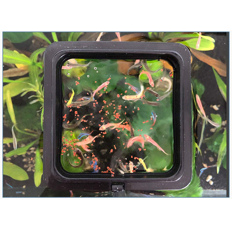E-outstanding 2pcs Fish Feeding Ring Tropical Fish Food Ring Aquarium Fish Tank Accessories Water Plant Buoyancy Suction Cup (1 x Round Shape and 1 x Square Shape), Black - BeesActive Australia