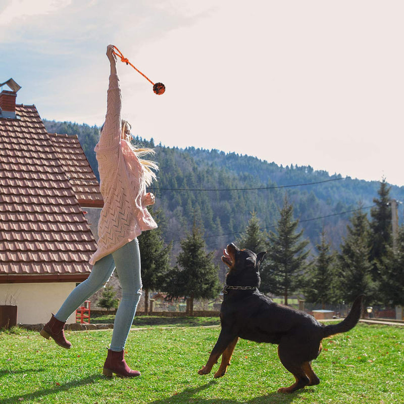 Nevperish K9 Training Ball with Rope Exercise and Reward Toy for Dogs Indestructible Dog Toy Ball with Handle for Training Pull Throw Toy tug Toy Dogs Fetch Toys Belgian Malinois Gifts Orange and Yellow - BeesActive Australia