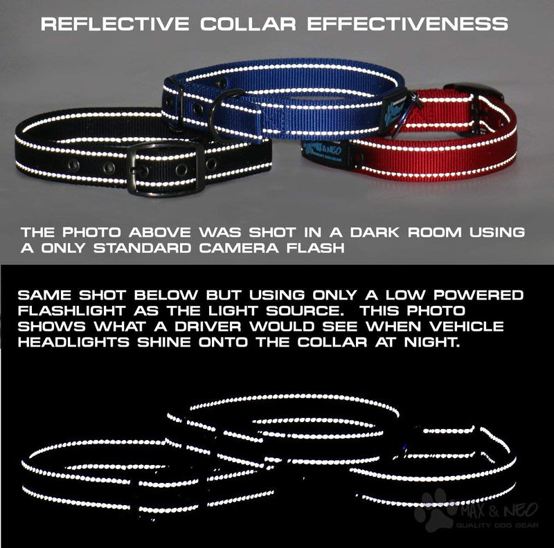 Max and Neo MAX Reflective Metal Buckle Dog Collar - We Donate a Collar to a Dog Rescue for Every Collar Sold Small TEAL - BeesActive Australia