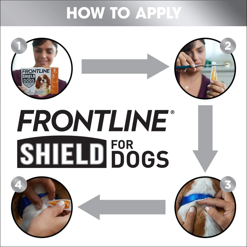 FRONTLINE Shield for Dogs Flea & Tick Treatment, 81-120 lbs 3 Count - BeesActive Australia