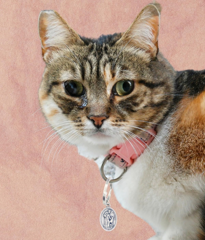 St Francis of Assisi Pendant for Pet Collar - St Francis Dog Tag, Cat Tag, Animal Tag with Split Ring for Catholic Patron Saint of Cats, Dogs, St Francis of Assisi Medal - Made in Italy - BeesActive Australia
