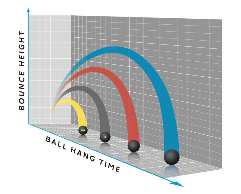 [AUSTRALIA] - Dunlop Sports Intro Beginner Squash Ball, 12-Ball Box 