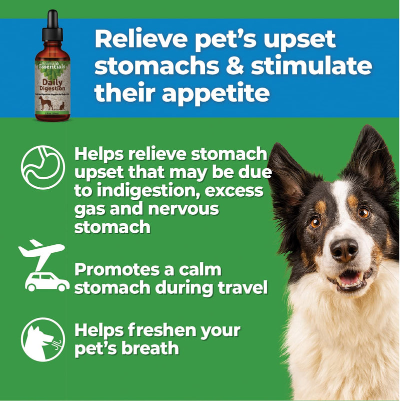 Animal Essentials Fresh Breath & Daily Digestion/Digestive Support for Dogs & Cats - Made in USA Organic Ginger & Mint, Alcohol Free 1 fl oz (30 ml) (Pack of 1) - BeesActive Australia