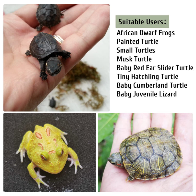 PINVNBY Turtle Basking Platform Reptile Climbing Shale Resin Step Ledge Stone Aquarium Ornament Rock Landscaping Decoration with Suction Cups for Frogs Newts Amphibians Lizard 8.2”Lx3.3”Wx3.1”H - BeesActive Australia