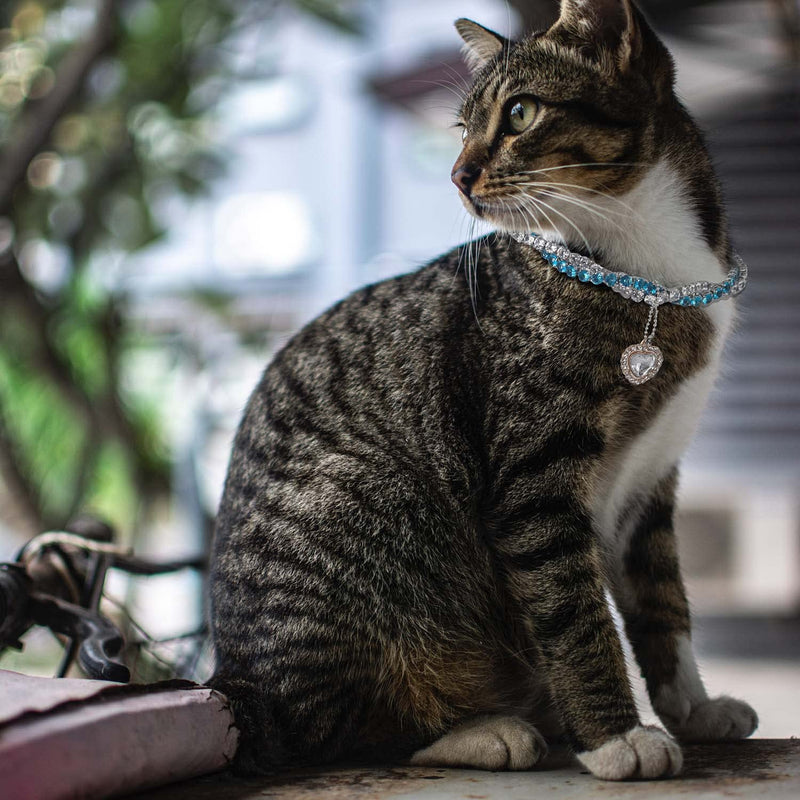 Gold Cat Collar Puppy Zircon Cuban Link Chain Handmade Diamond Iced Heart Pendant Pet Jewelry Necklace Pet Gift Silver&Blue - BeesActive Australia