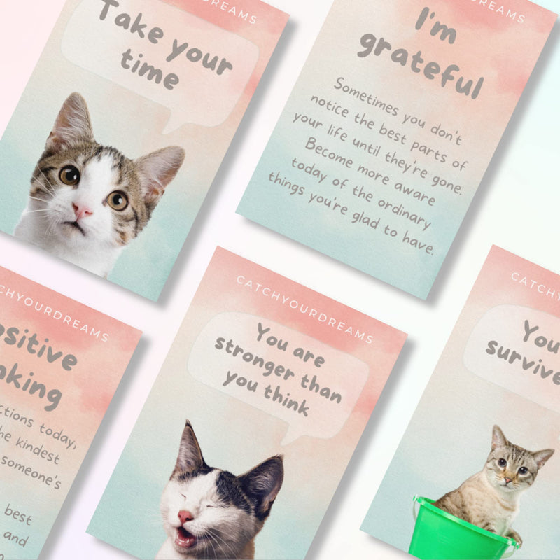 Cats Against Anxiety Cards - 50 Cards by Catchyourdreams For Self Esteem and Stress, Affirmations for Anxiety Emotions Oracle Tarot Self Therapy (Cats Against Anxiety) Cats Against Anxiety - BeesActive Australia